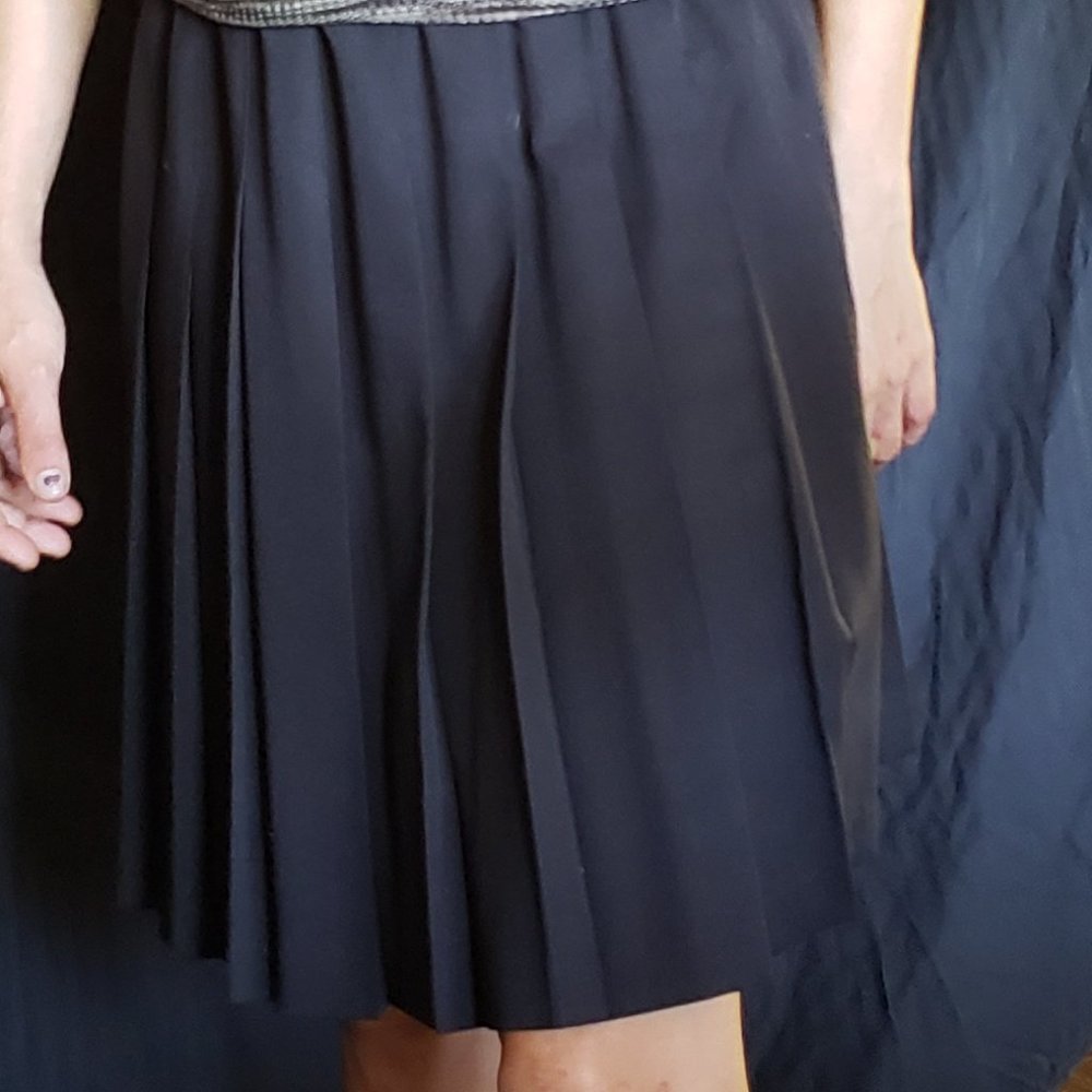 Black Pleated Skirt